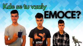 EMOCE - jak jim lépe porozumět a co jsou vlastně ZAČ.