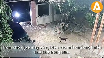 Lắp đặt camera an ninh| camera chống trộm khong day  | camera báo trộm qua điện thoại