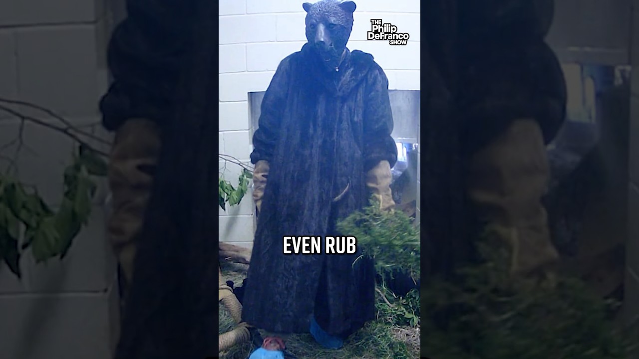 Wildlife Rescue Staff Dress Up Like Bear to Save Abandoned Cub