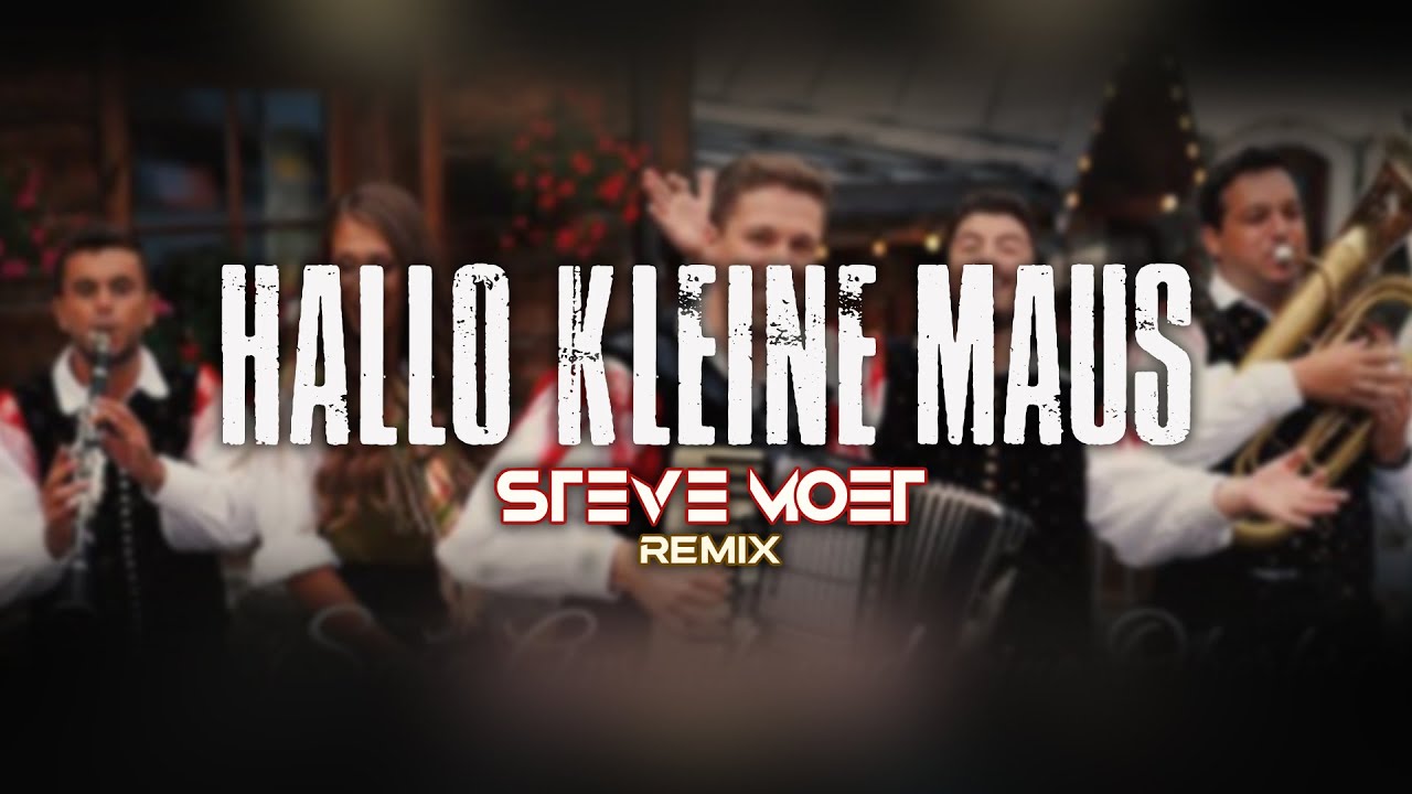 sašo avsenik und seine oberkrainer hallo kleine maus songtext