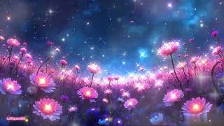 Dreamy Echo ! Stress Relief, Study, Relaxing, Sleeping, Medication, Deep Focus, Music.
