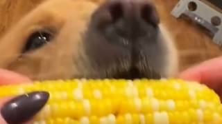 UNEXPECTED memes episode 126