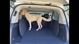 A cargo liner for my pets to ride comfortably