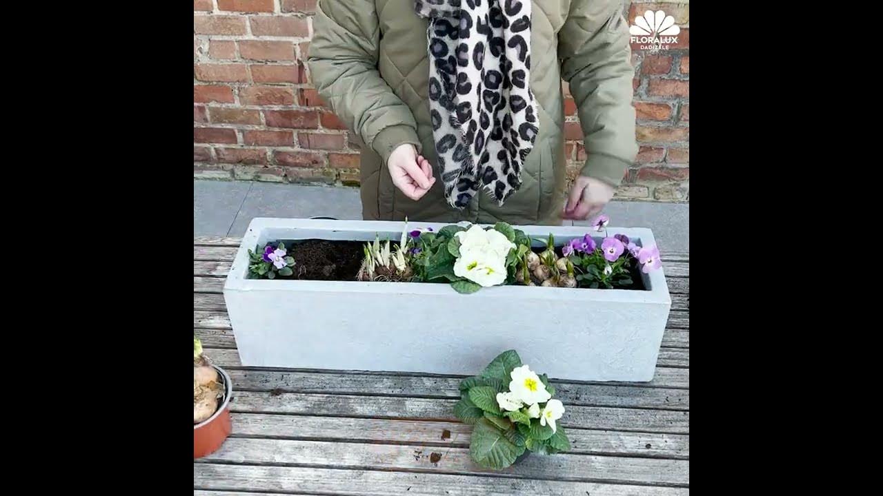 Pots à fleurs - Floralux