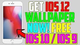 How To Get NEW iOS 12 Wallpaper NOW!! FREE on iPhone, iPad & iPod screenshot 2