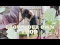 Daily Vlog: Motivational Monday! Getting ready for spring gardening || Grow your own food|| Helen H