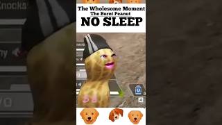 No Sleep 😴😔🥜#theburntpeanut#theburntpeanutclips #BurntPeanut #rustgame #rust