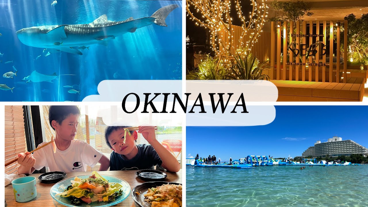 Travel Japan Vlog | OKINAWA | Churaumi Aquarium, BEB5 Hotel, Ocean Park