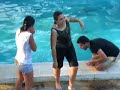 tos pa la piscina con ropa!!!!!!!