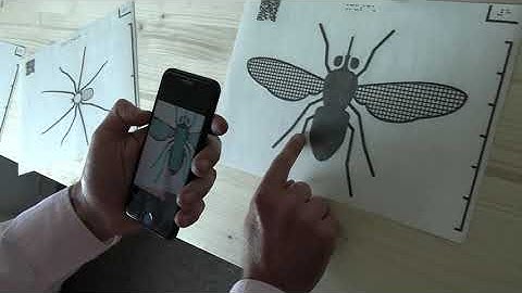 How can blind people explore tactile graphics independently - Tactile Images