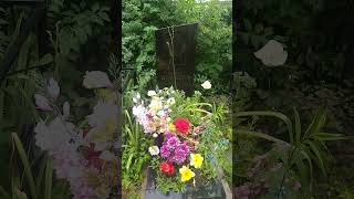 Борис Новиков ( тени исчезают в полдень ) Юргин.