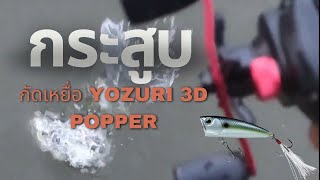 กระสูบเขื่อน กัดป๊อบเปอร์เต็มคอ Popper Yozuri 3d (Teaser)