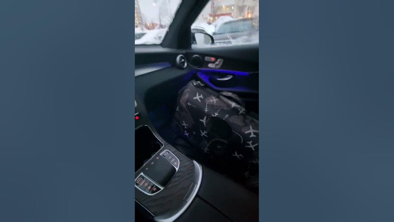 Едем на дачу с Ивкой #дача #кошка #кошки #домашниеживотные - YouTube