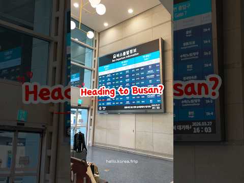 Are you going to Busan?🌊