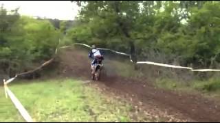 Annot sp1