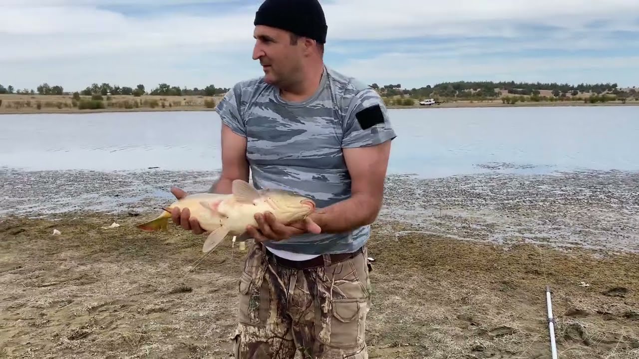 BOL TROFELİ BİR AV MUAZZAM BALIKLAR ALDIK #sazanavı #aynalısazanavı #kampçılık #balıkçılık #trofeAvı