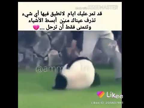 لا اشتهي الحديث معا احد