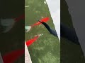 大鱼 Big Fish