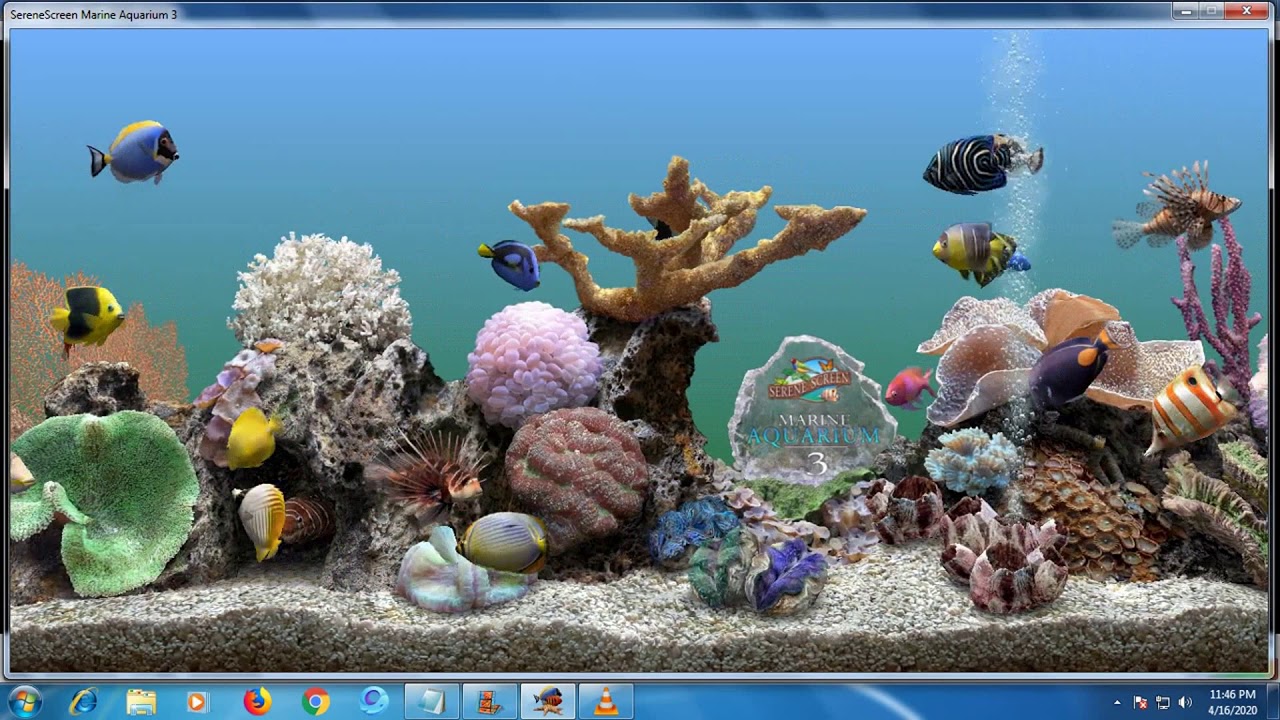 Wallpaper Bergerak Aquarium 3d Image Num 24