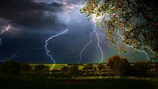 Слёзы Лип - Александр Гами