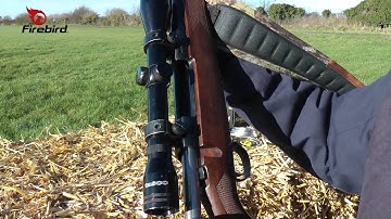 Firebird Targets Complete Range