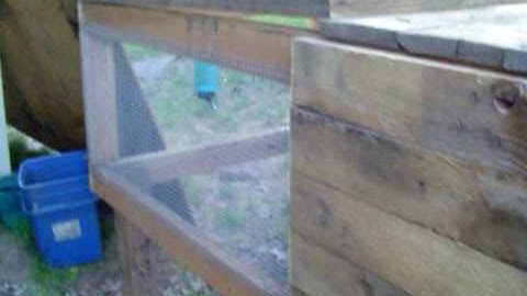 The Rabbit Hutch Part 1