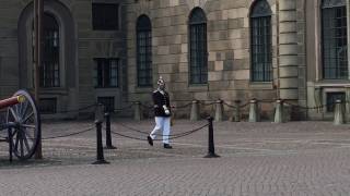 Смена караула у Королевского дворца в Стокгольме