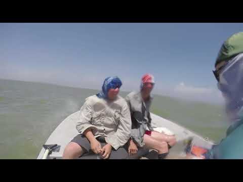 “TBT” THROWBACK THURSDAY YARBOROUGH PASS FISHING SHOALWATER CAT LONESTAR LAW
