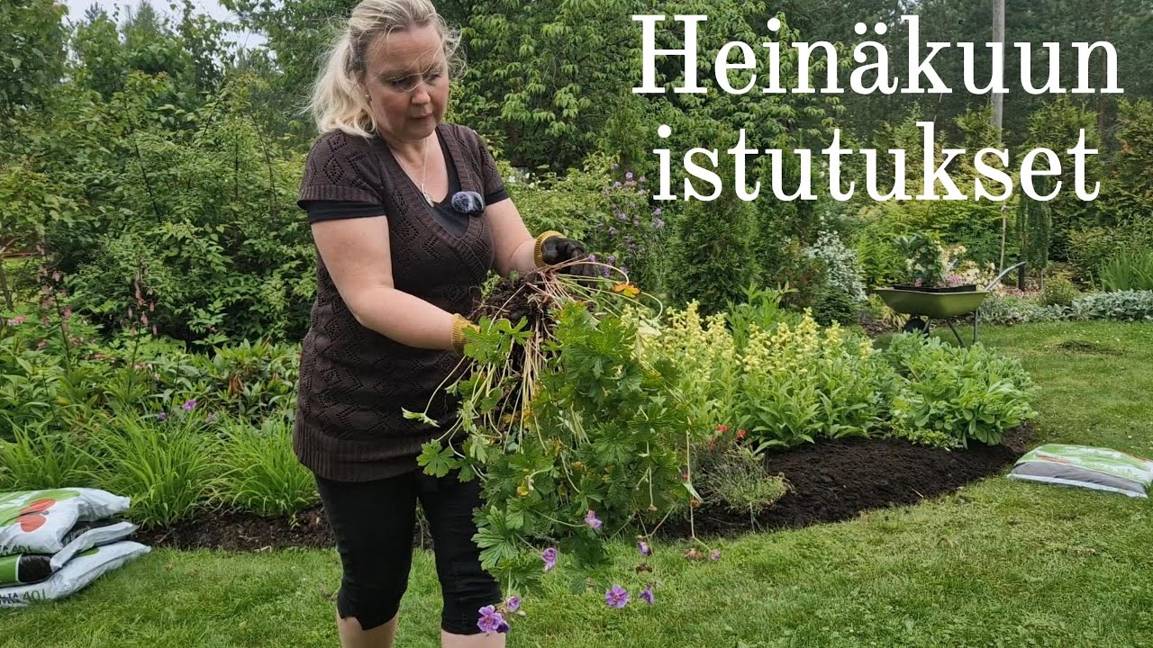 Heinäkuun istutukset