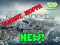 Катастрофы в дебюте NEW. Гамбит Морра