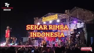 TIARA ' Sekar Rimba Indonesia ' || Perform Lapangan Desa Tampirwetan Candimulyo