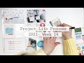 Project Life Process 2021  Week 14