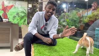 Ammus pets and kennels a pleasant meet with RANJITH ON WHEELS with his jack russel terrier puppy