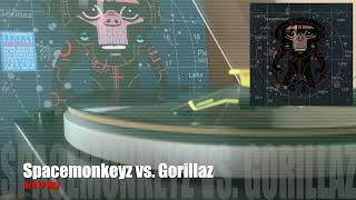 Spacemonkeyz vs Gorillaz / Laika Come Home Side B [Vinyl Source]