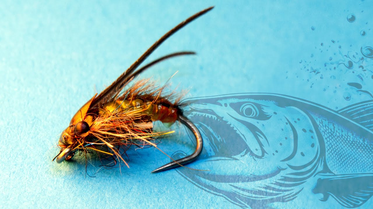 Realistic Caddis Pupa