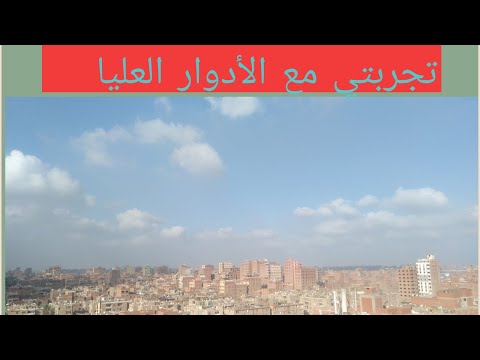 فيديو: ما هي ألوان الزهور الاصطناعية جيدة للمنزل؟