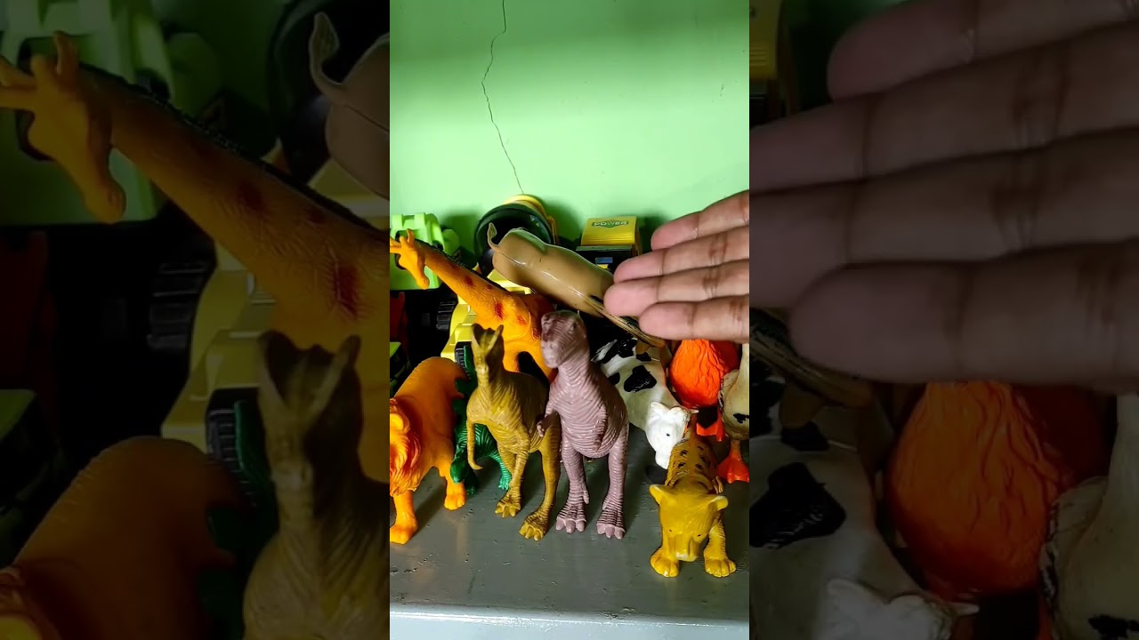 Horse Can Fly Too! What? 