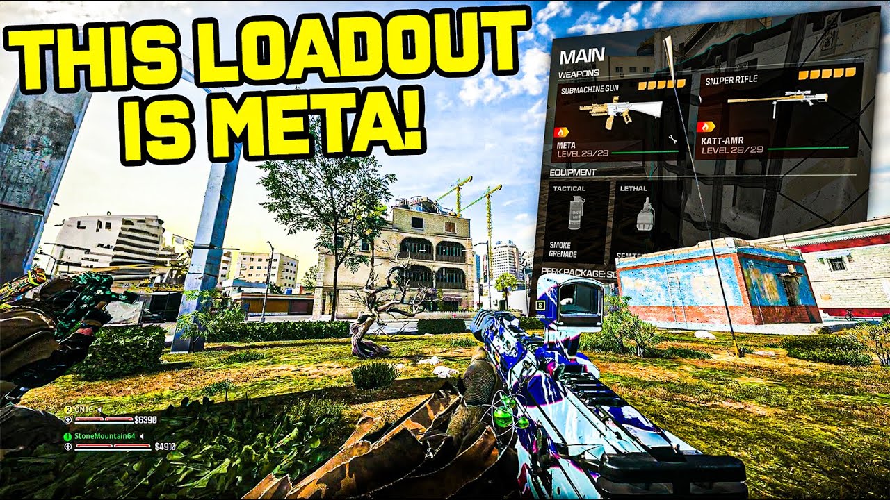 You NEED to Run this Loadout...