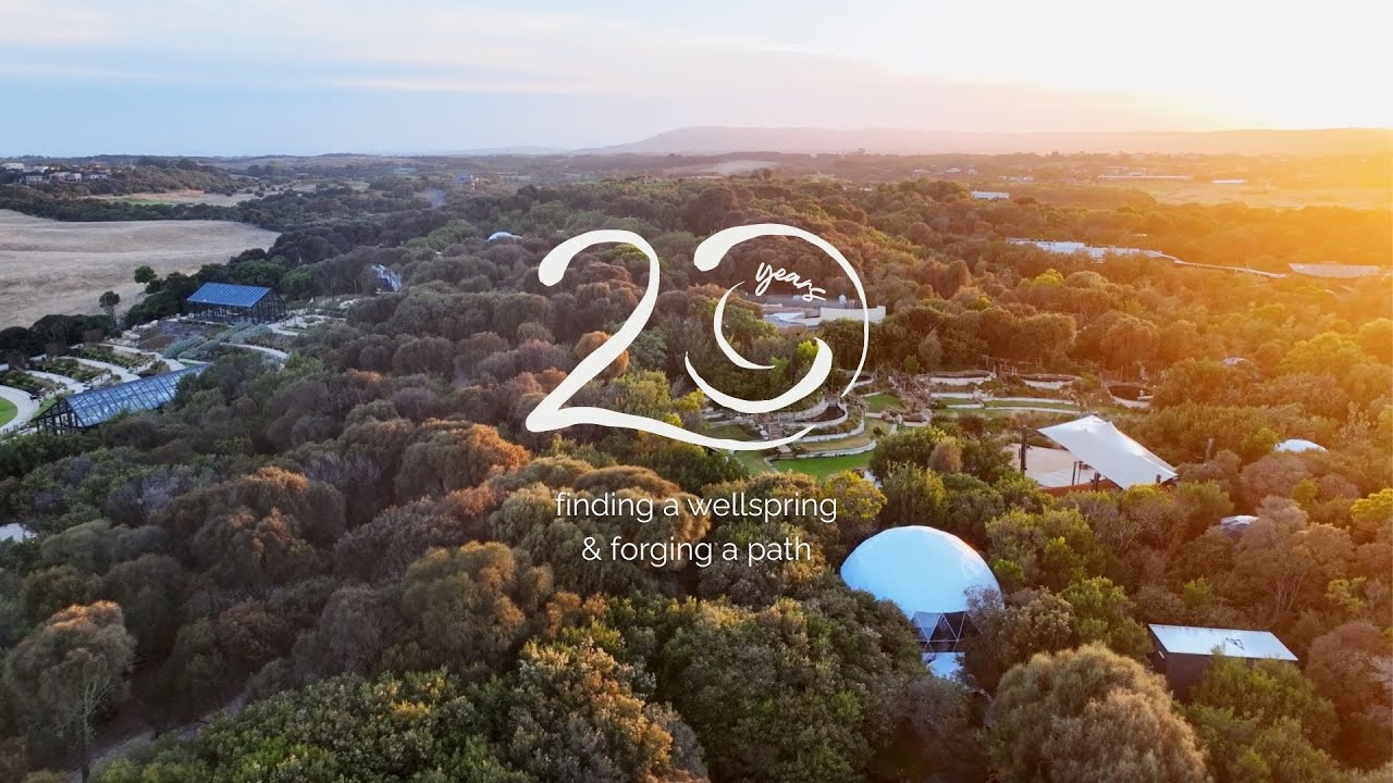 20 Years Immersed in Nature | Finding a Wellspring & Forging a Path