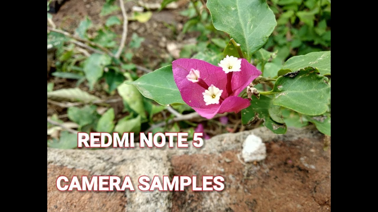 Redmi Note 5 - Camera Samples ! Video Sample