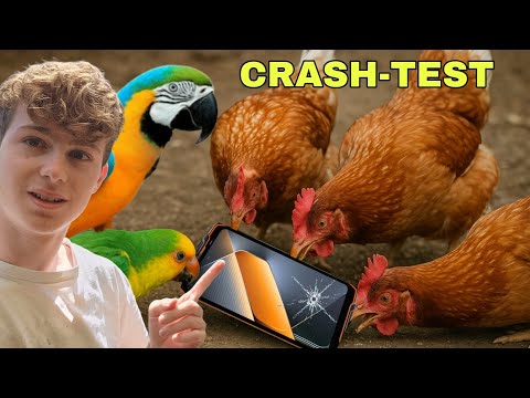 YouTube video