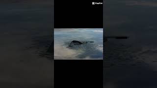 B2 #viral #airplane #aviation