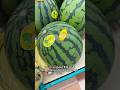 In Japan, the price of watermelon is very expensive compared to many other countries #japan #fruits