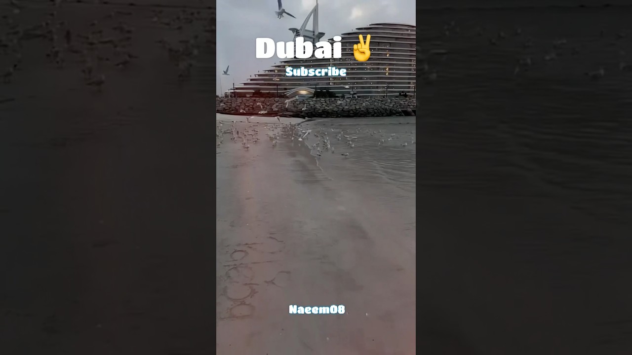 Dubai✌️❤️🇮🇳🇦🇪