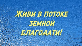 Встань на путь своей возрожденной судьбы!