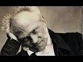 Arthur schopenhauer 17881860  franctireur de la philosophie  une vie une uvre 1988
