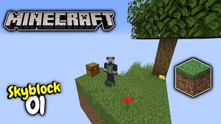 Skyblock: 01 | STARTING FRESH