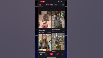 How to Change RedNote to English in Seconds! 🔥 (Easy Tutorial)