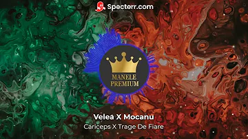 Velea X Mocanu / Cariceps x Trage De Fiare / REMIX