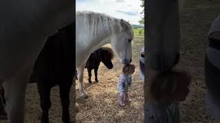 Horse and girl / Лошадь и девочка